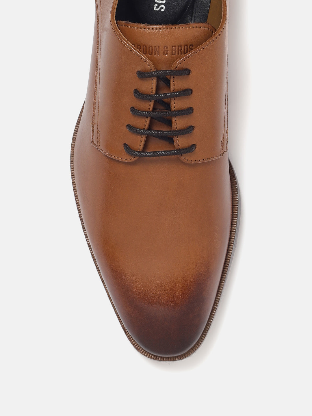 Derby - 625635 (ANTIK COGNAC)